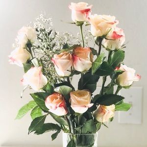 Meet your Posher, Amberlie